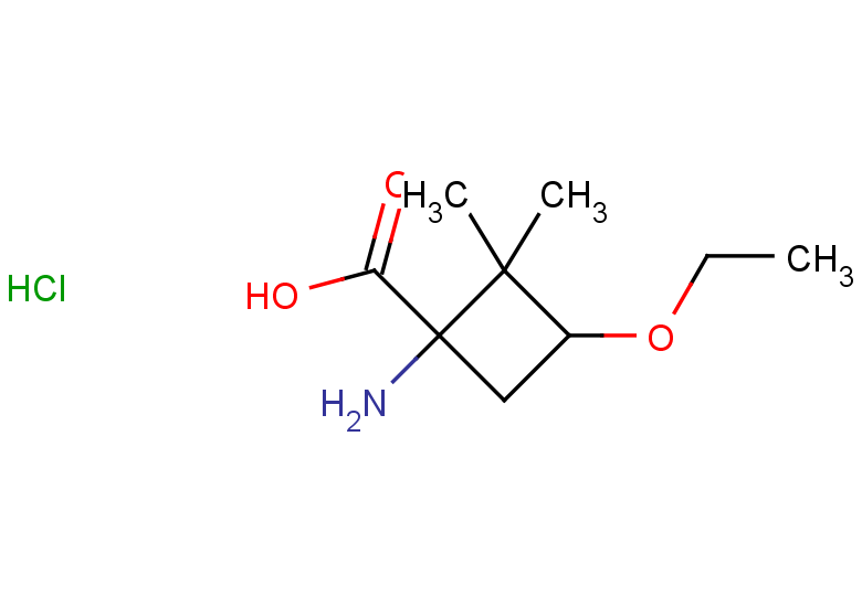 1-amino-3-ethoxy-2,2-dimethylcyclobutane-1-carboxylic acid hydrochloride