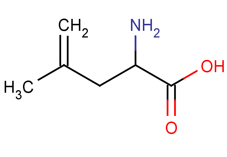 2-amino-4-methylpent-4-enoic acid