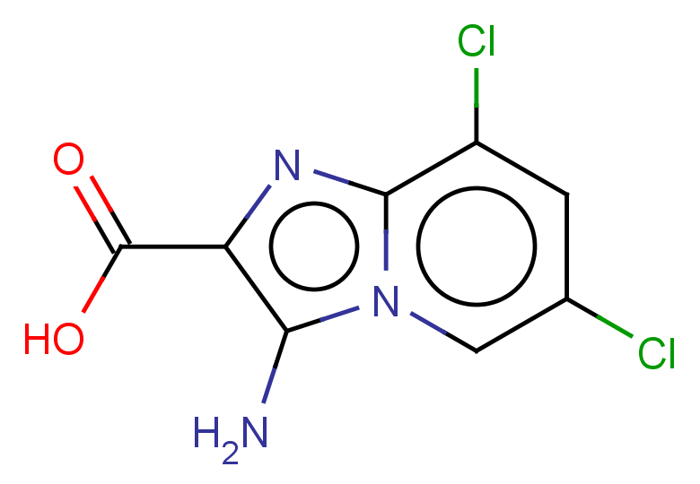 3-amino-6,8-dichloroimidazo[1,2-a]pyridine-2-carboxylic acid