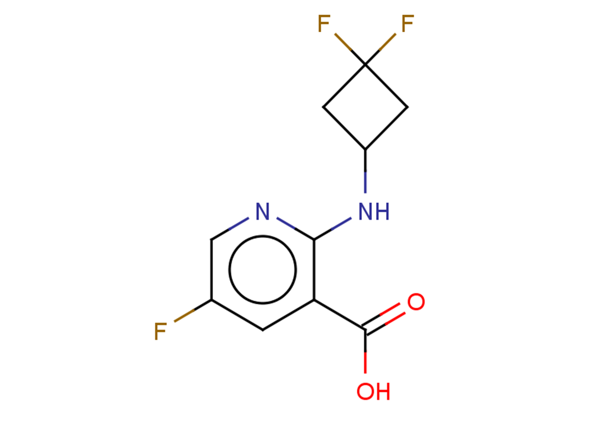 2-[(3,3-difluorocyclobutyl)amino]-5-fluoropyridine-3-carboxylic acid