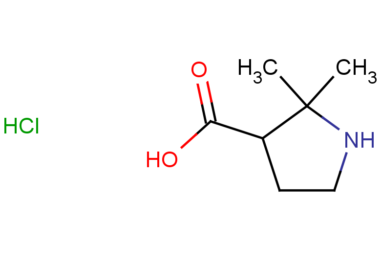 2,2-dimethylpyrrolidine-3-carboxylic acid hydrochloride