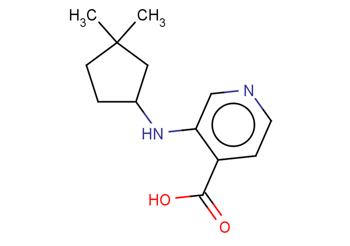 3-[(3,3-dimethylcyclopentyl)amino]pyridine-4-carboxylic acid