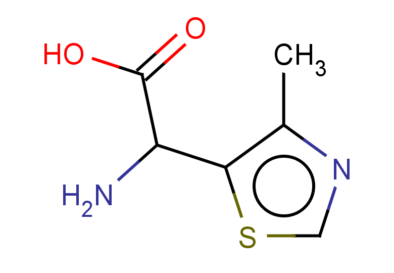 2-amino-2-(4-methyl-1,3-thiazol-5-yl)acetic acid