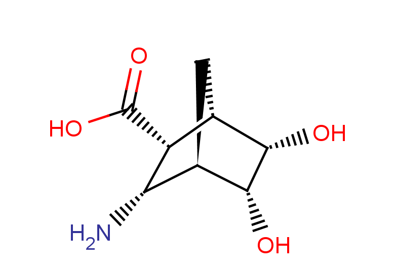 rac-(1R,2S,3R,4S,5S,6R)-3-amino-5,6-dihydroxybicyclo[2.2.1]heptane-2-carboxylic acid