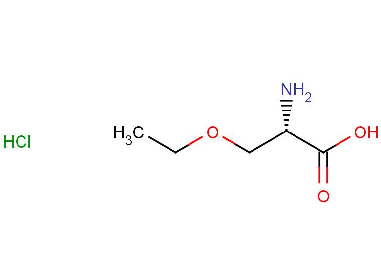 (2S)-2-amino-3-ethoxypropanoic acid hydrochloride