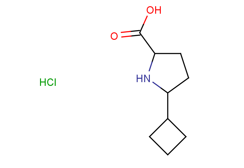 5-cyclobutylpyrrolidine-2-carboxylic acid hydrochloride