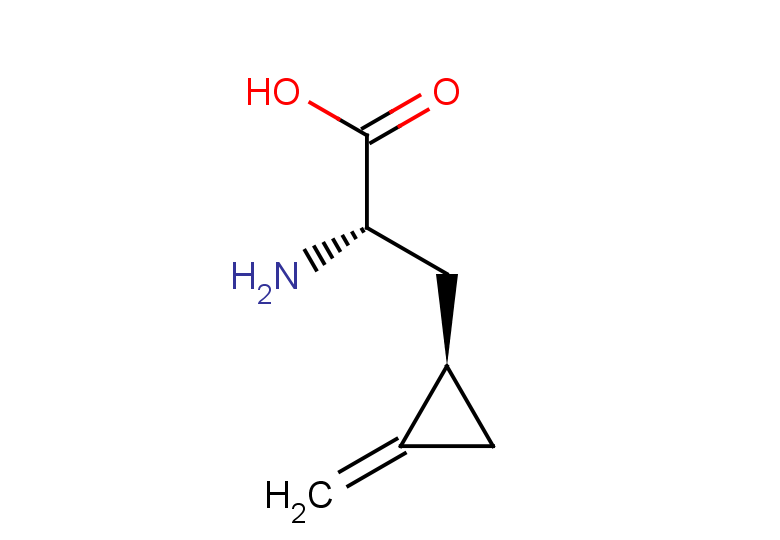 (S)-2-amino-3-((R)-2-methylenecyclopropyl)propanoic acid