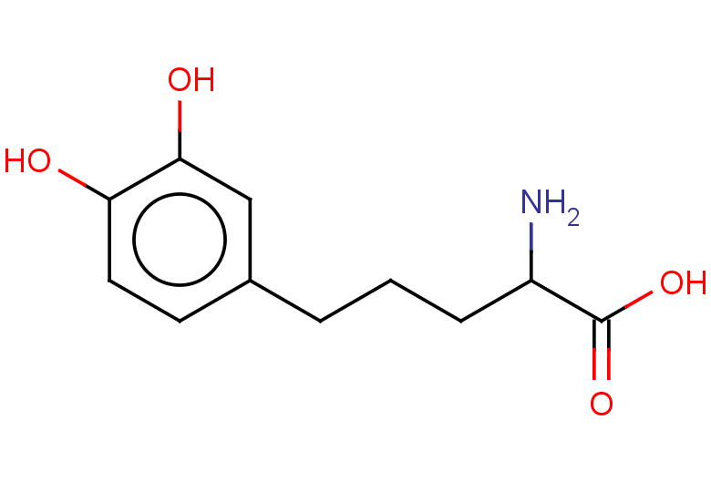 2-amino-5-(3,4-dihydroxyphenyl)pentanoic acid