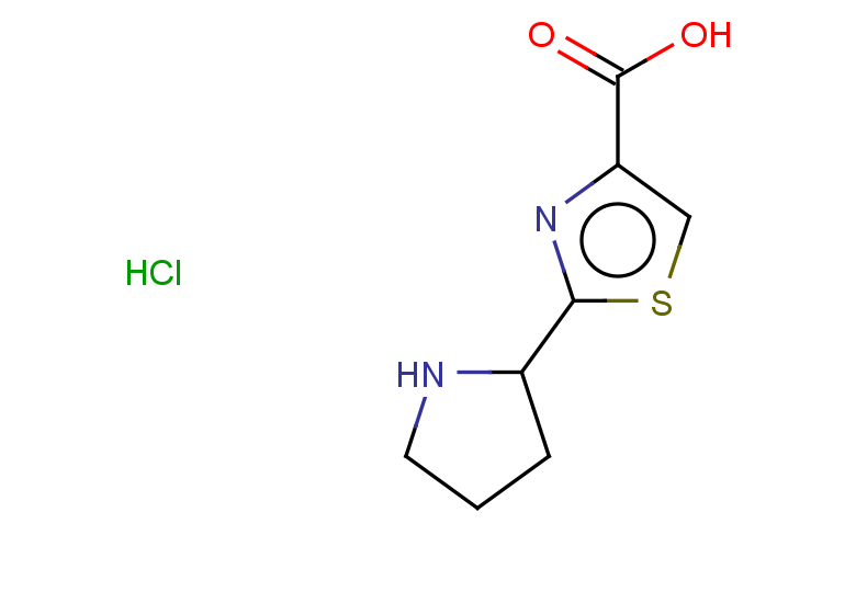 2-(pyrrolidin-2-yl)-1,3-thiazole-4-carboxylic acid hydrochloride