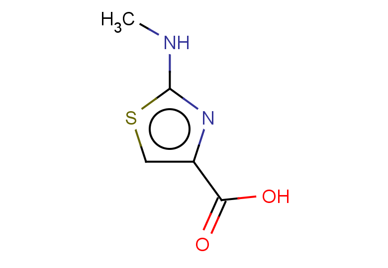 2-(methylamino)-1,3-thiazole-4-carboxylic acid