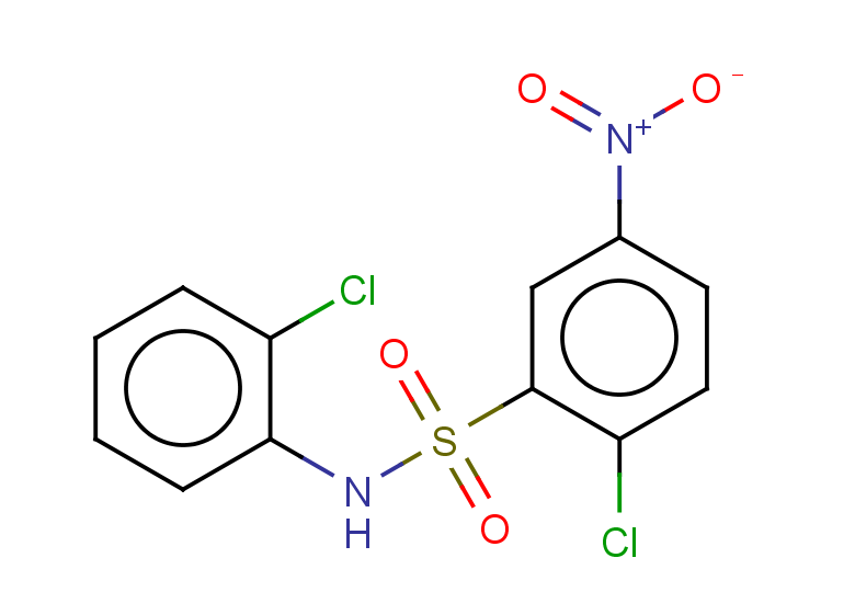 2-chloro-N-(2-chlorophenyl)-5-nitrobenzene-1-sulfonamide