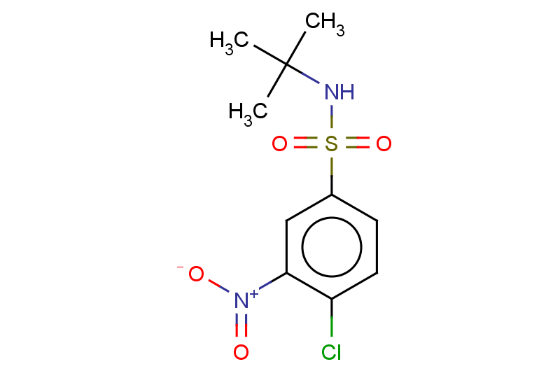 N-tert-butyl-4-chloro-3-nitrobenzene-1-sulfonamide