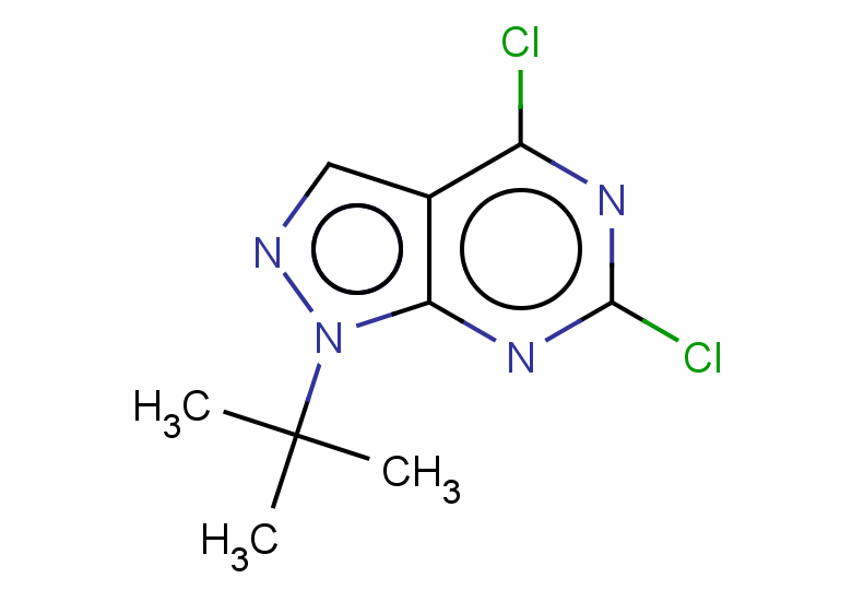 1-tert-butyl-4,6-dichloro-1H-pyrazolo[3,4-d]pyrimidine