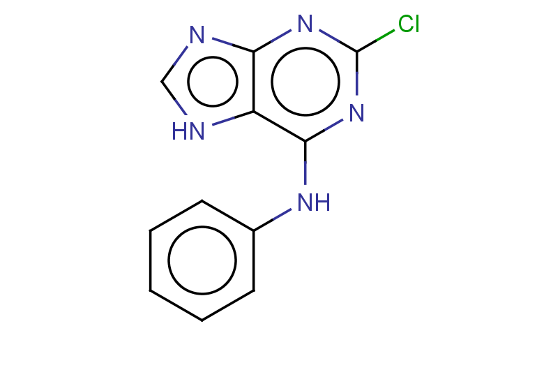 2-chloro-N-phenyl-7H-purin-6-amine