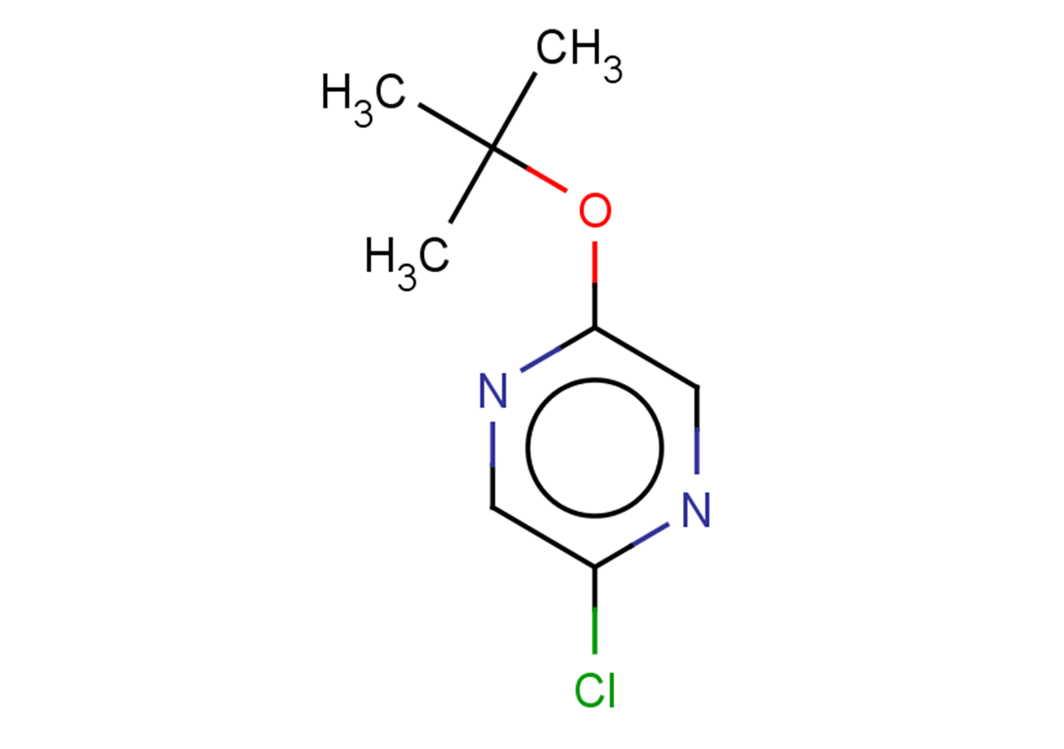 2-(tert-butoxy)-5-chloropyrazine