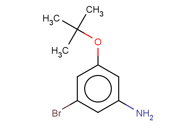 3-bromo-5-(tert-butoxy)aniline