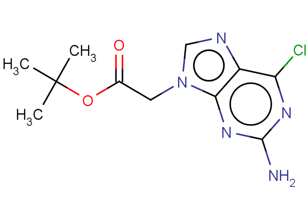 tert-butyl 2-(2-amino-6-chloro-9H-purin-9-yl)acetate