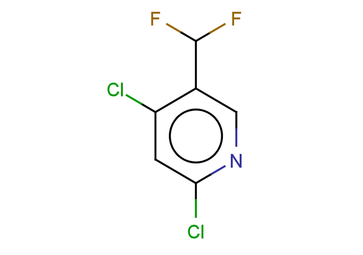 2,4-dichloro-5-(difluoromethyl)pyridine
