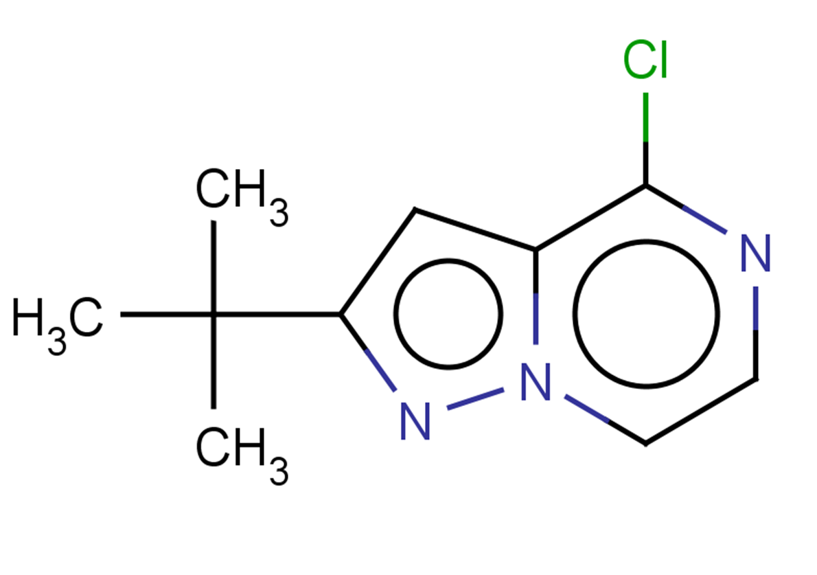 2-tert-butyl-4-chloropyrazolo[1,5-a]pyrazine