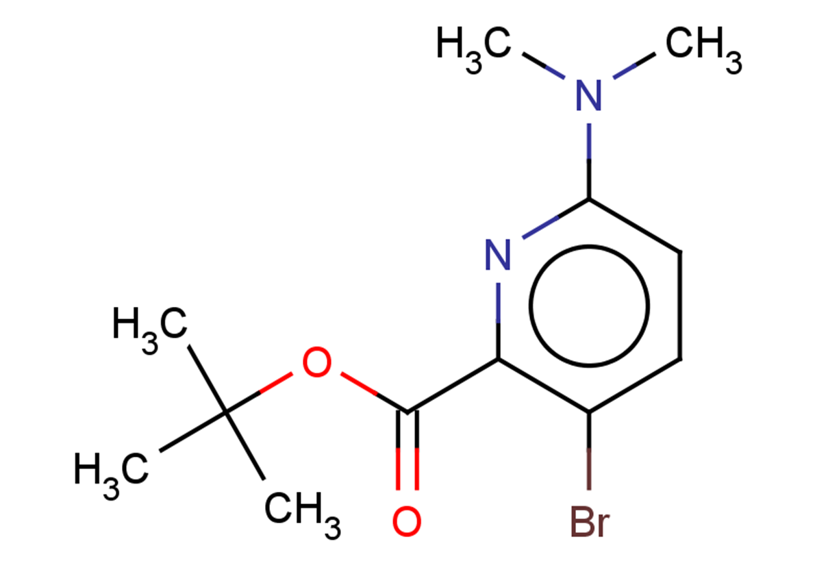 tert-butyl 3-bromo-6-(dimethylamino)pyridine-2-carboxylate
