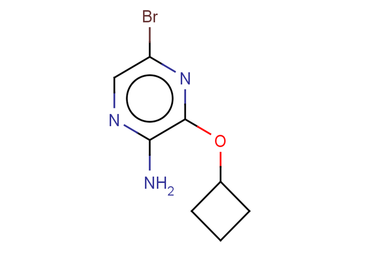 5-bromo-3-cyclobutoxypyrazin-2-amine