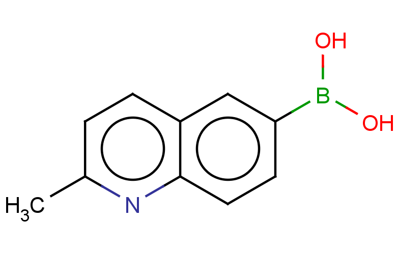 (2-methylquinolin-6-yl)boronic acid