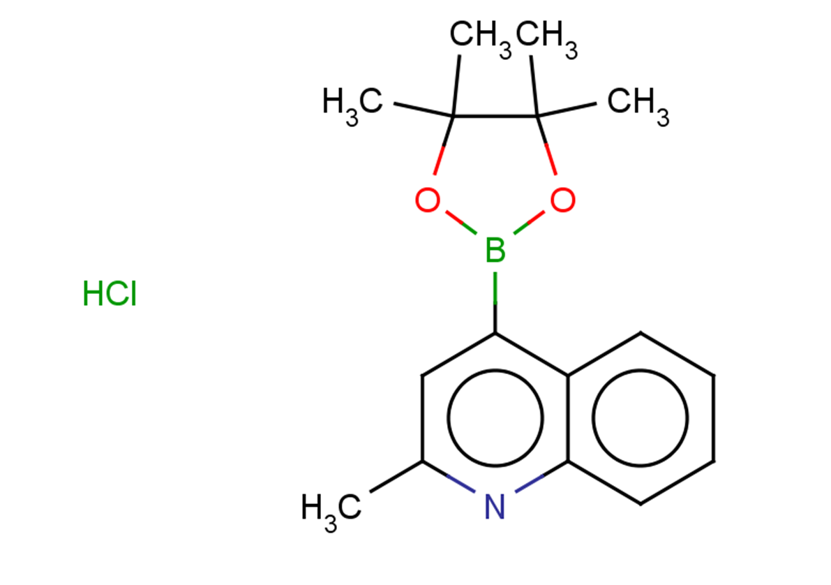 2-methyl-4-(tetramethyl-1,3,2-dioxaborolan-2-yl)quinoline hydrochloride