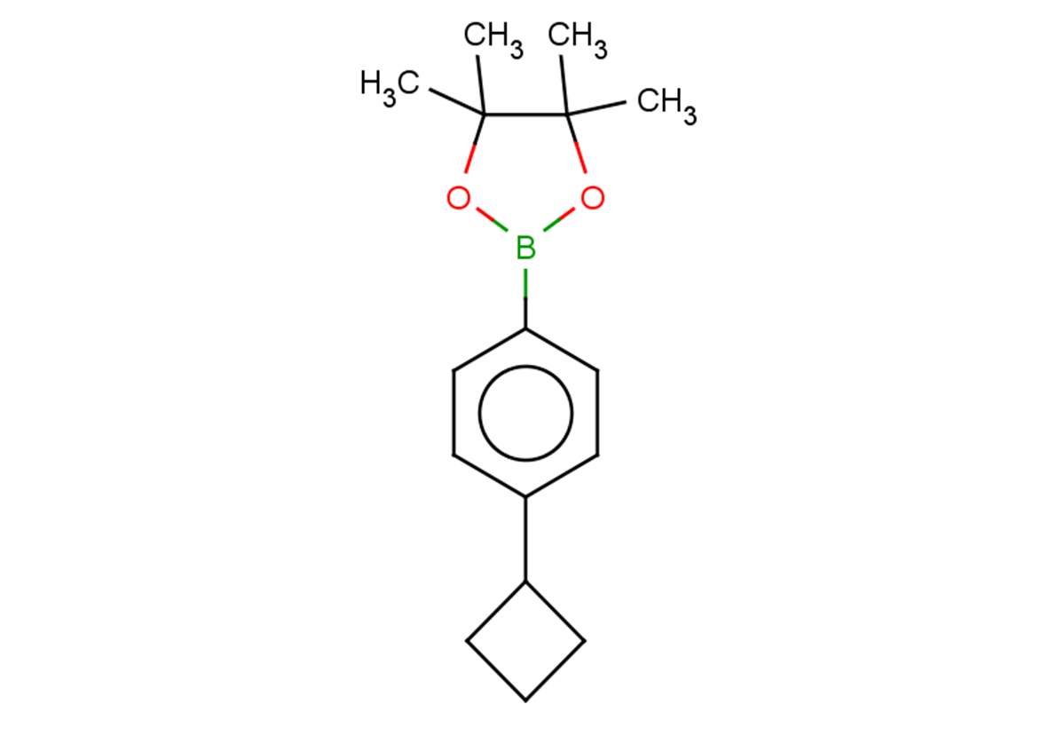 2-(4-cyclobutylphenyl)-4,4,5,5-tetramethyl-1,3,2-dioxaborolane