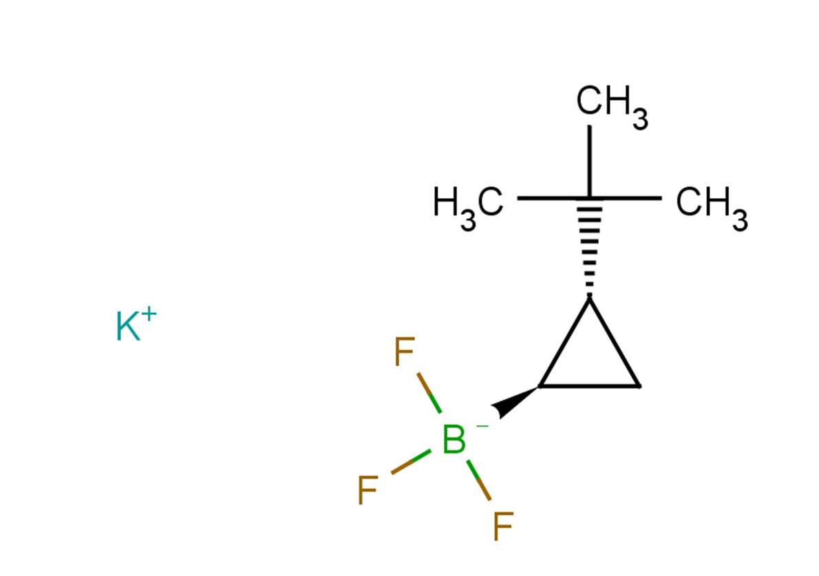 rac-potassium [(1R,2R)-2-tert-butylcyclopropyl]trifluoroboranuide, trans