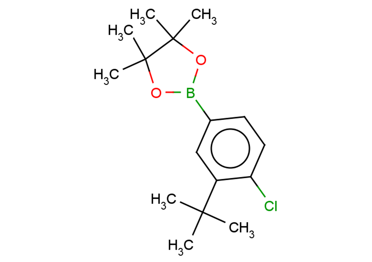 2-(3-tert-butyl-4-chlorophenyl)-4,4,5,5-tetramethyl-1,3,2-dioxaborolane