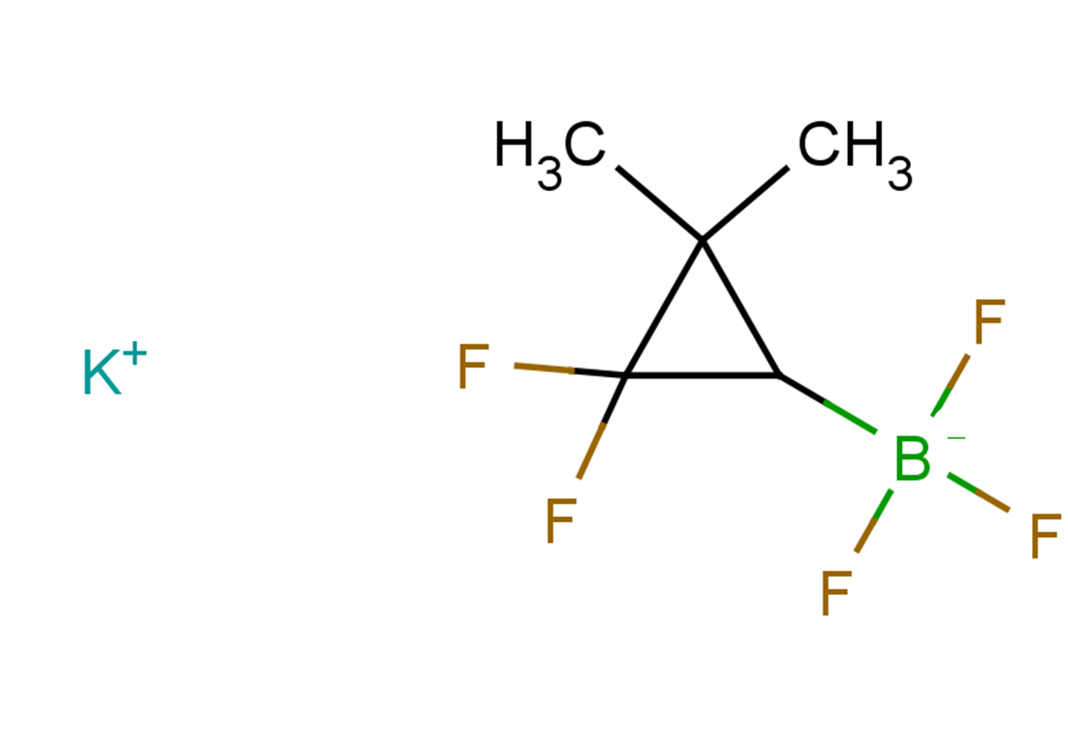 potassium (2,2-difluoro-3,3-dimethylcyclopropyl)trifluoroboranuide