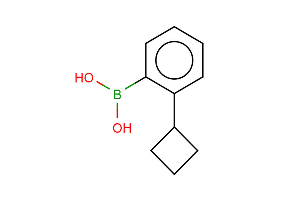 (2-cyclobutylphenyl)boronic acid