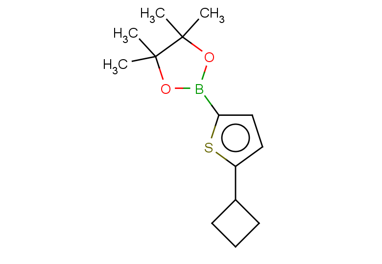 2-(5-cyclobutylthiophen-2-yl)-4,4,5,5-tetramethyl-1,3,2-dioxaborolane