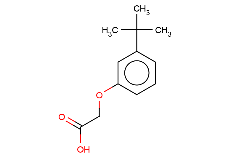 2-(3-tert-butylphenoxy)acetic acid