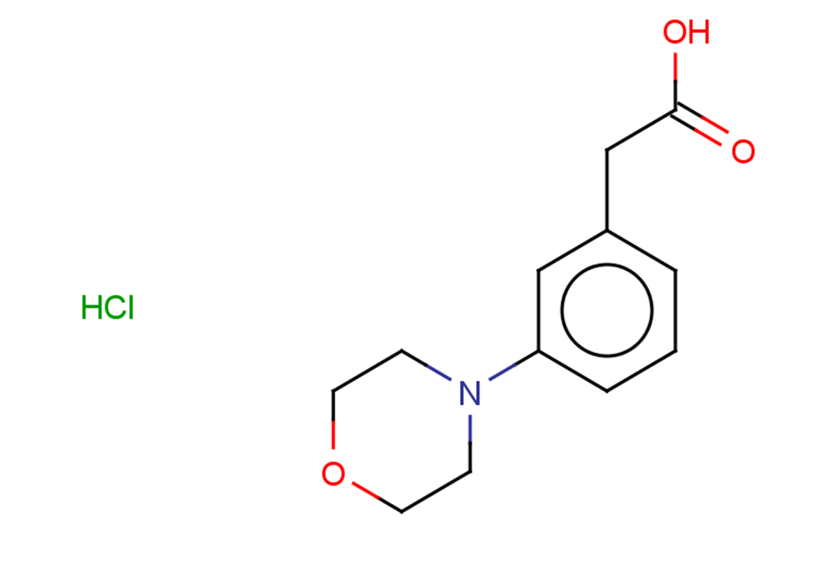 2-[3-(morpholin-4-yl)phenyl]acetic acid hydrochloride