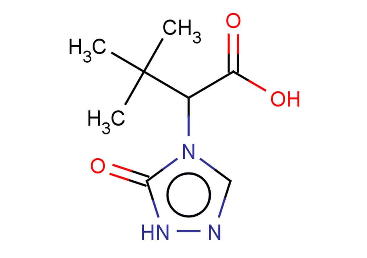 3,3-dimethyl-2-(5-oxo-4,5-dihydro-1H-1,2,4-triazol-4-yl)butanoic acid