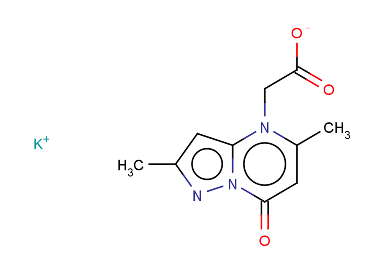 potassium 2-{2,5-dimethyl-7-oxo-4H,7H-pyrazolo[1,5-a]pyrimidin-4-yl}acetate