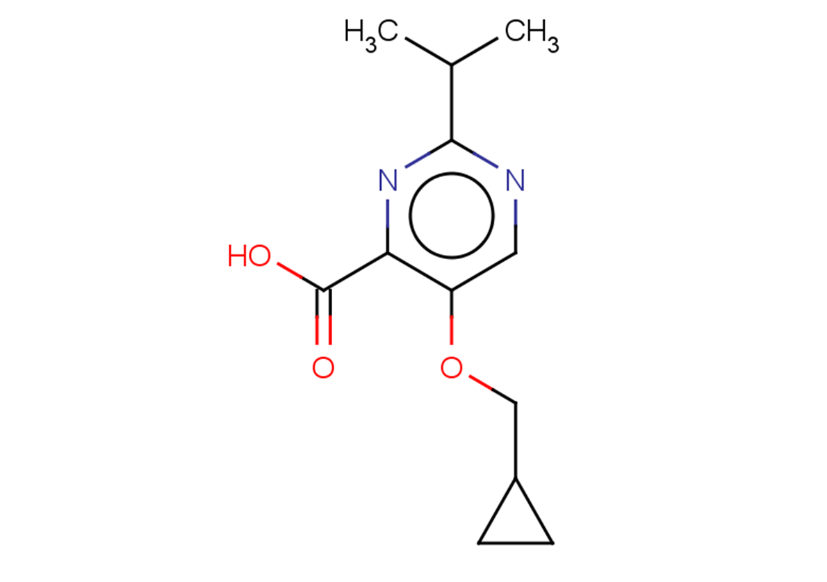 5-(cyclopropylmethoxy)-2-(propan-2-yl)pyrimidine-4-carboxylic acid