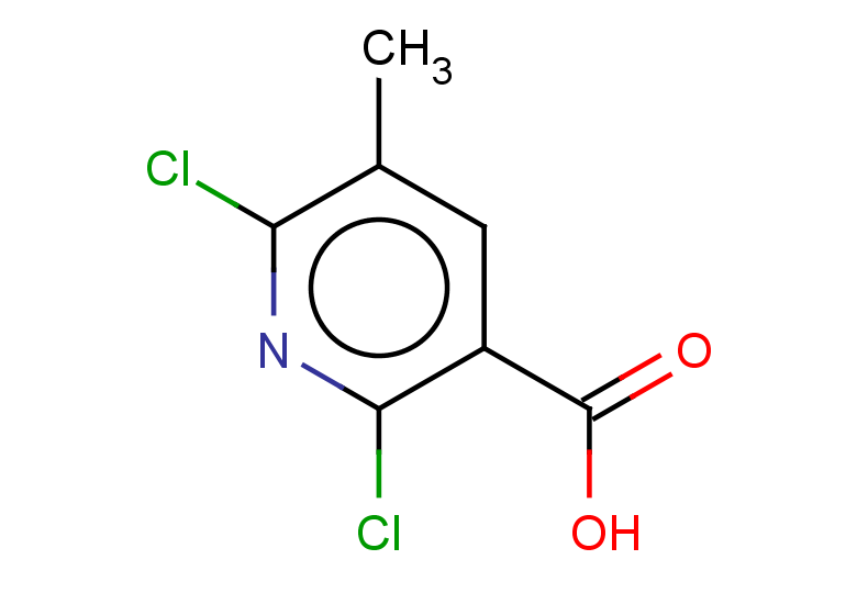 2,6-dichloro-5-methylpyridine-3-carboxylic acid