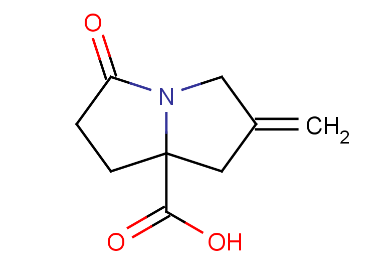 2-methylidene-5-oxo-hexahydro-1H-pyrrolizine-7a-carboxylic acid