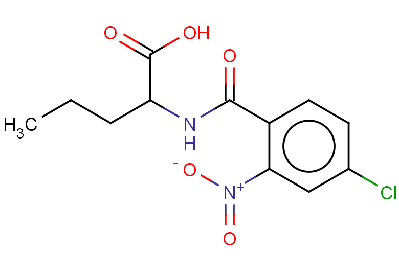 2-[(4-chloro-2-nitrophenyl)formamido]pentanoic acid
