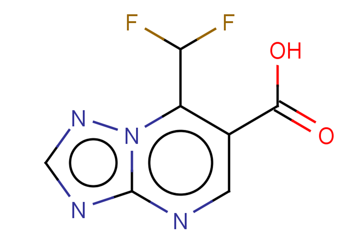 7-(difluoromethyl)-[1,2,4]triazolo[1,5-a]pyrimidine-6-carboxylic acid