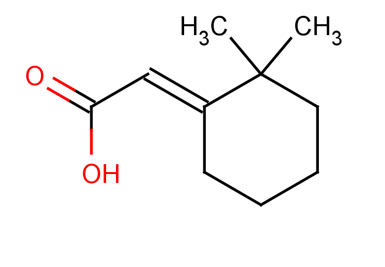 2-[(1E)-2,2-dimethylcyclohexylidene]acetic acid