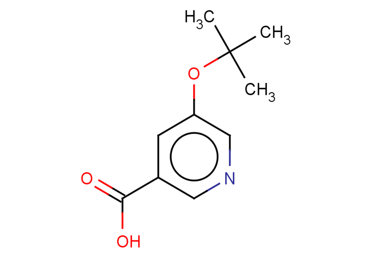 5-(tert-butoxy)pyridine-3-carboxylic acid