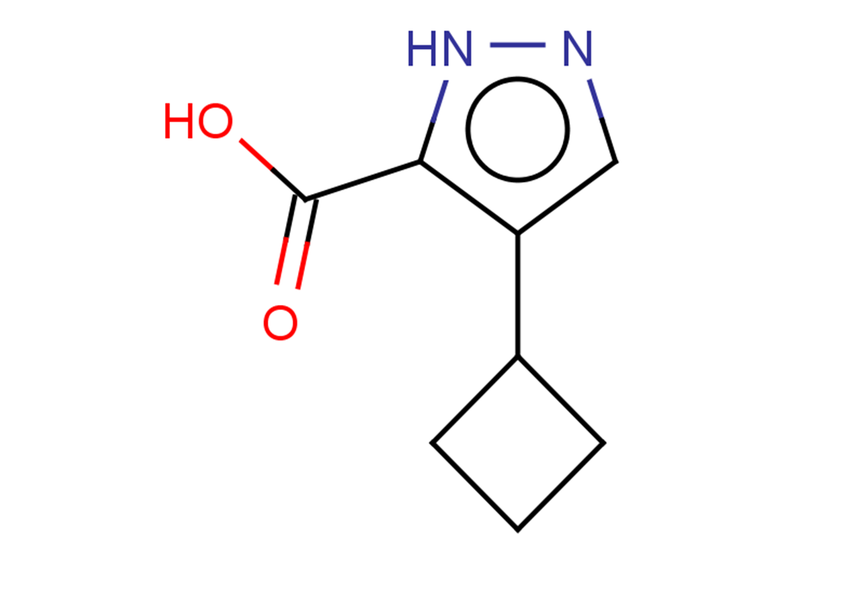 4-cyclobutyl-1H-pyrazole-5-carboxylic acid