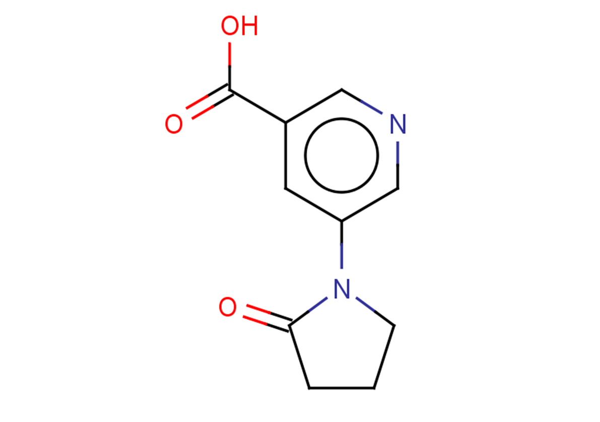 5-(2-oxopyrrolidin-1-yl)pyridine-3-carboxylic acid