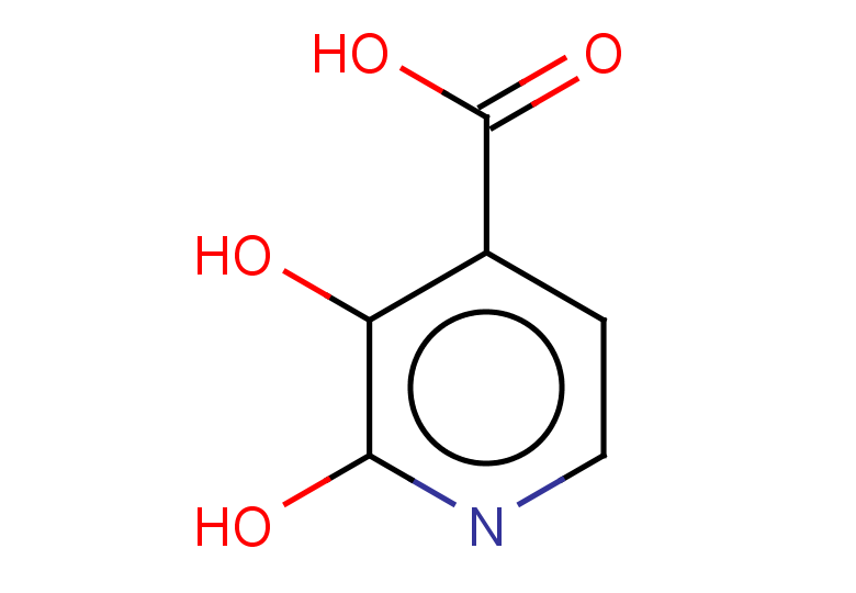 2,3-dihydroxypyridine-4-carboxylic acid