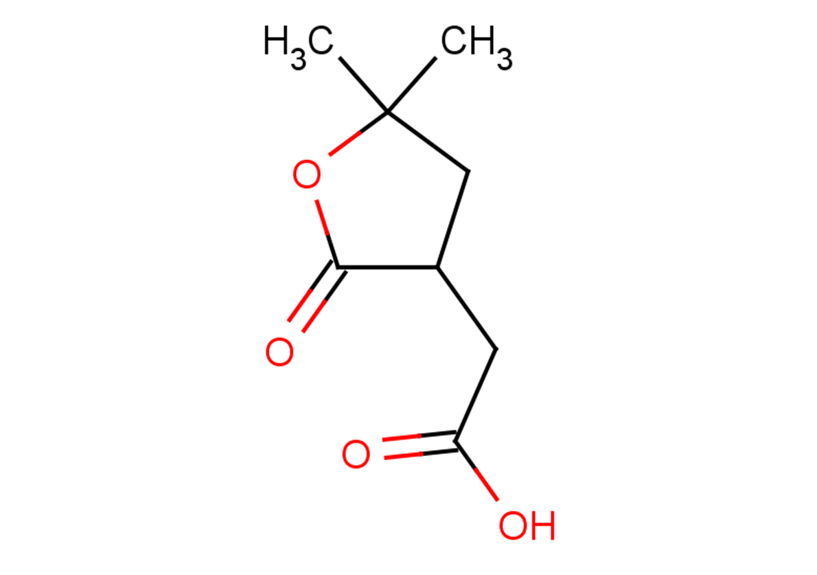2-(5,5-dimethyl-2-oxooxolan-3-yl)acetic acid
