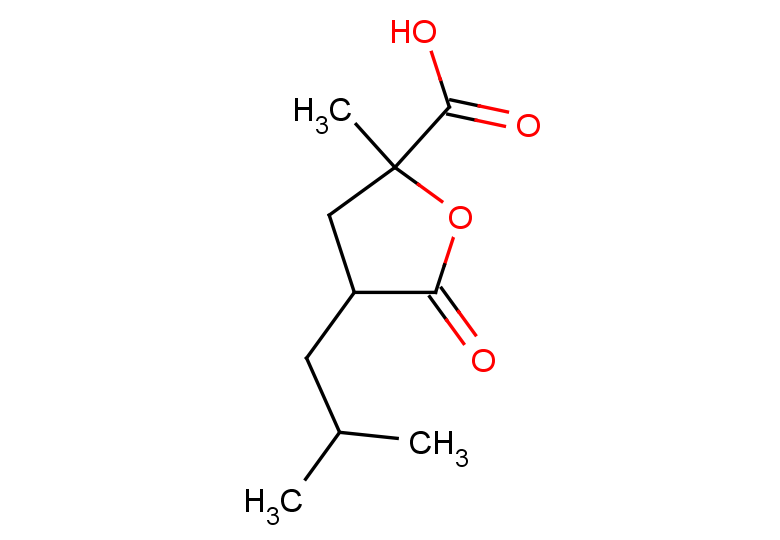 2-methyl-4-(2-methylpropyl)-5-oxooxolane-2-carboxylic acid