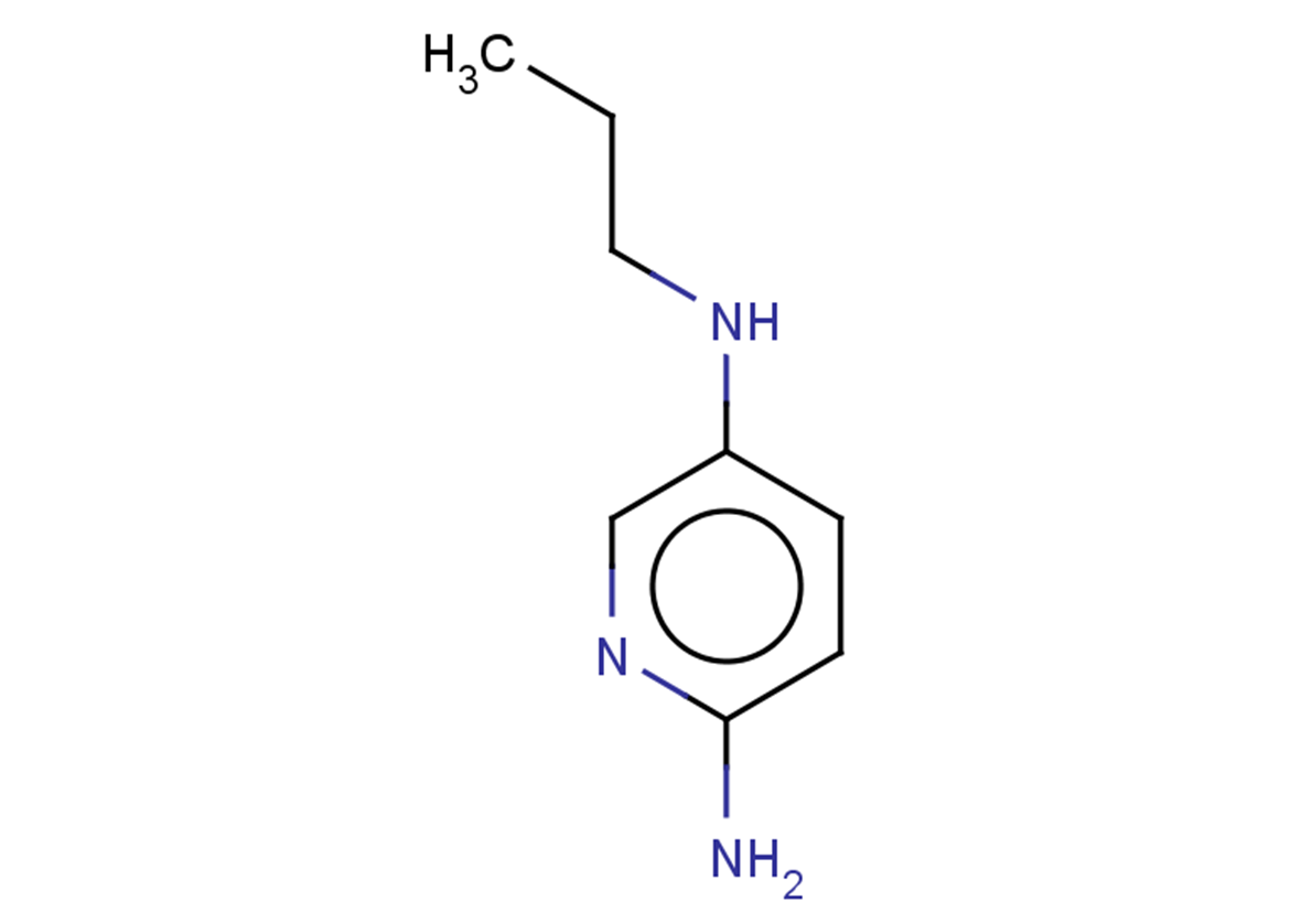 N5-propylpyridine-2,5-diamine